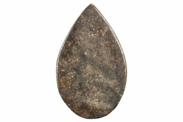 Stony Chondrite Cabochon ( g) - Meteorite #238209